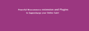 Read more about the article Most used woocommerce plugins