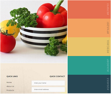 Color scheme and branding in website design Pune